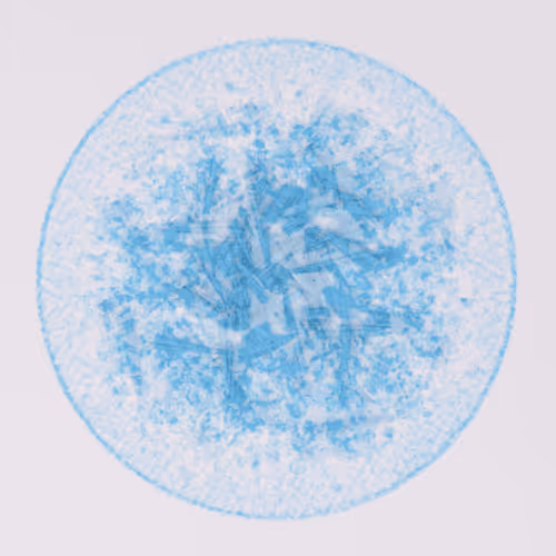 Item #56973419019861600765457047389383188289079904378367063993006434910552285249537 Media