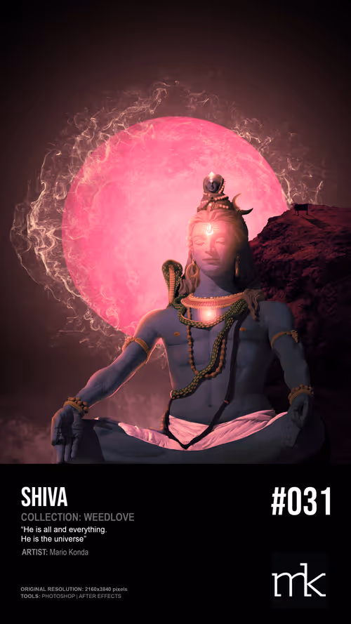 Item #55573863004974060553668176881007852524625808110851081363137097867916897943553 Media