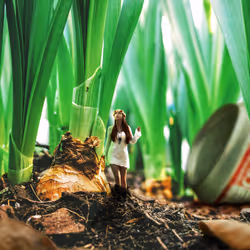 53010446080174274945979665358285553867030313799277838715159623135340642959361