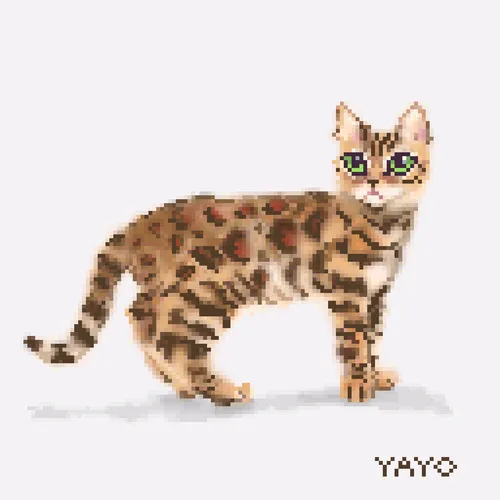 Item #13080766421190555612307919645379576803990371461875354718024555281654652862466 Media