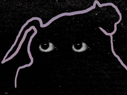 Item #54688137389352509344092767467911615879738143210533731435142059763299975692289 Media