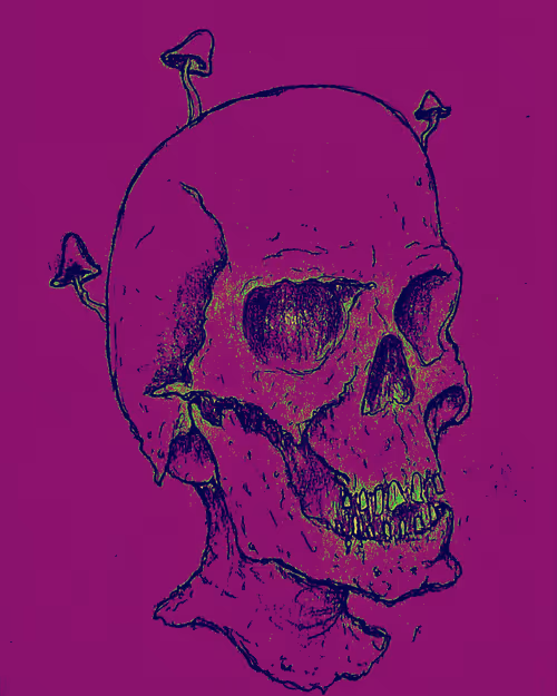 Item #58464231899672554220977429482409761262837585671771119037668409117907485720577 Media