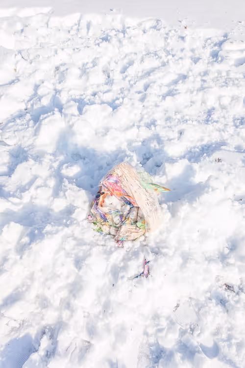 Item #56287295829887504958862107058149038286908875218999637654997635485246167187457 Media