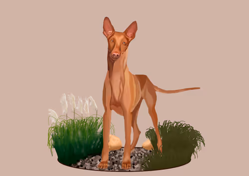 Item #76635623021787309812694420302215559780478835014345692098871688027410750504961 Media