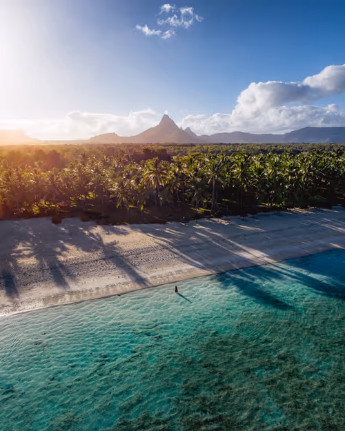 Item #64892573542216553225063327700336004171019867697641980949815581358012887990273 Media