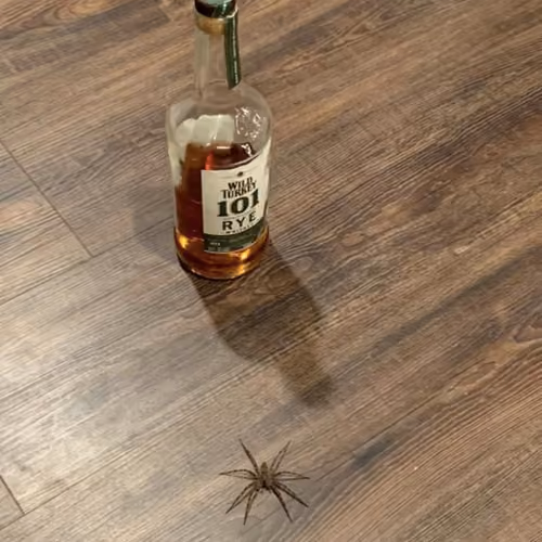 friend in a cup