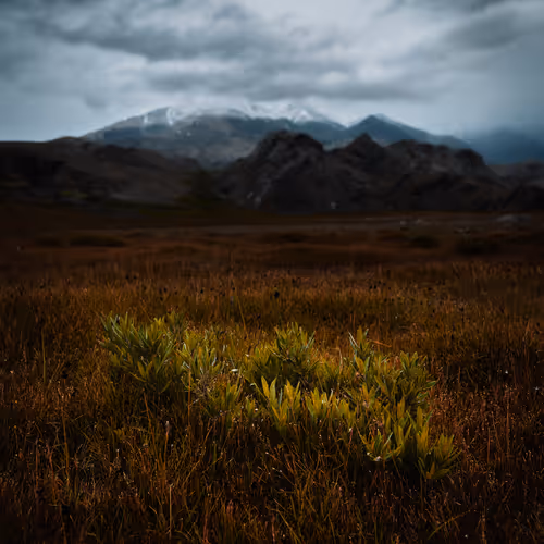 Earth Spaces By Ebtesam