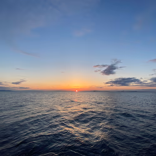 NONFTNOLIFE_ Collection