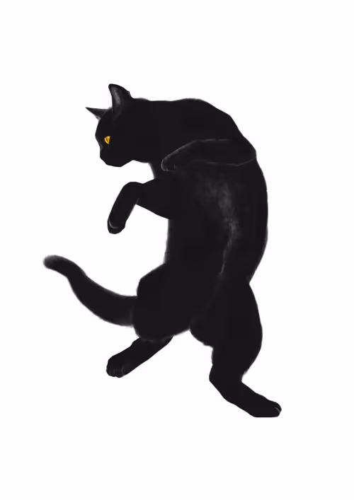 Item #82695799108276642583323751934613913274690371258081772662869305424443084898309 Media