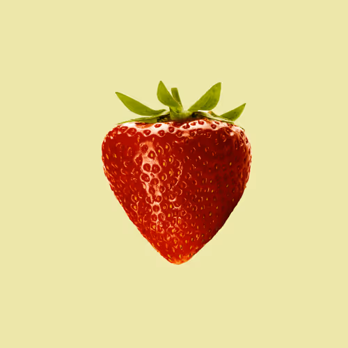 clarin-fishfood Collection