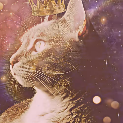 56114814756646127397705002134489221206320113324181291230627375183217274388481