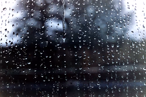 Item #102681073820549918018156706383720612658195698549287552323172903096146815090689 Media