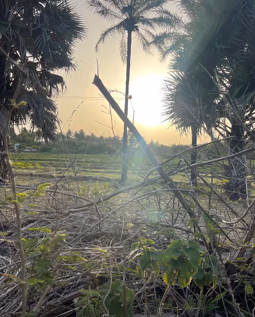 Item #54007074260392116914432059397381443712989872543409753264938920489883772387329 Media