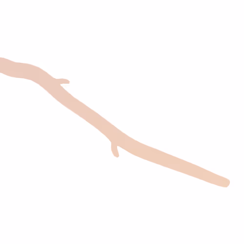 17755440104982517953853418754656261360363945618725315047813017614343328497665