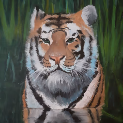 tigerart Collection V2