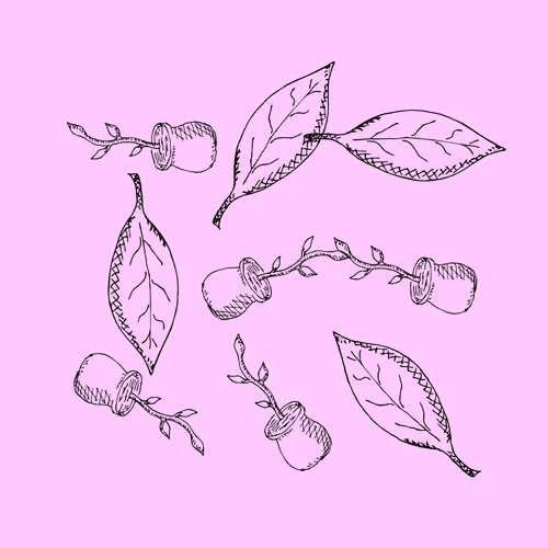 Item #69556552146983725260190750235621466326963526391573521528826689477108893220865 Media