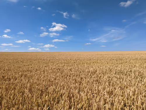 Item #60682361506423565370712823311843810028894794463794072968580133070028390006884 Media