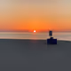 Untitled Collection #191509321