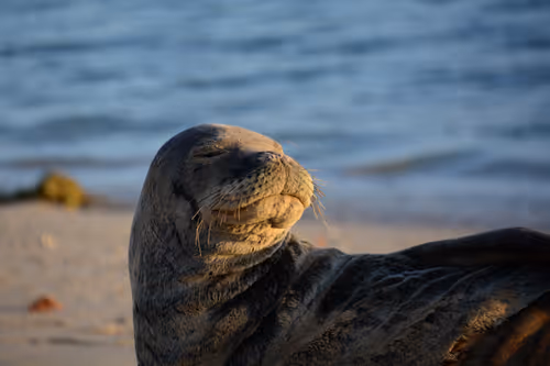 Item #82668664347853387025205030792162106913974488761724448252059371119186865553409 Media