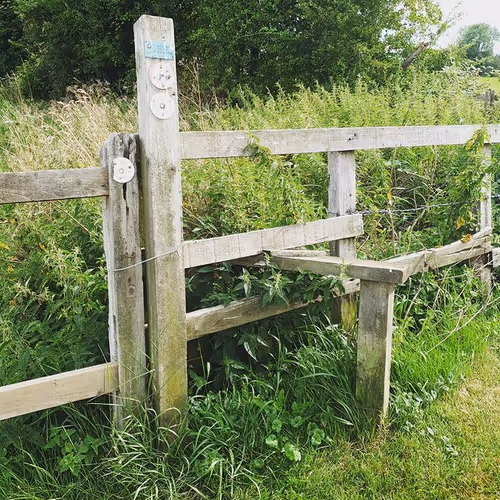 Item #105237010342582609876748436582366170093723610565651913513256945281985333428225 Media