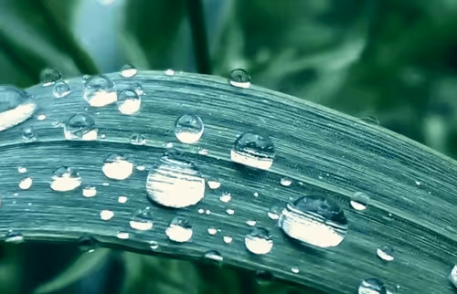 Untitled Collection #68271690