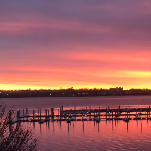 Untitled Collection #100357947