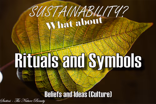 Item #93613396688638017464317025240290185264434684879039933742438229089430154510337 Media