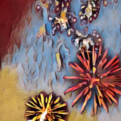 FireWorks