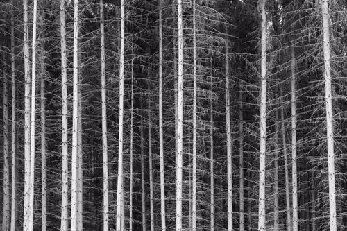 Item #12333759371985289416686528618250941787801478820548931806244366499830344712193 Media