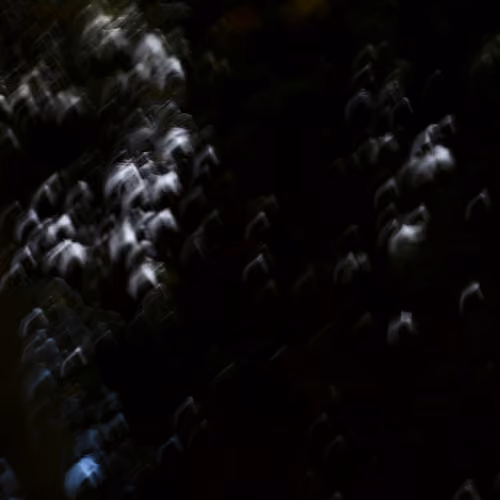 59576328445515739195370463517353860911468436894088720640490489322656120176641