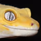 91783575880138807495778282726139277967308957592068622363372986851256667471873