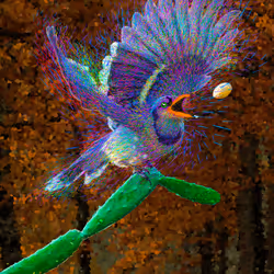 The Blue Jay on a Cactus 5/10