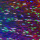 56093845266365580198989074568914204894151473020386784908679452270791644676097