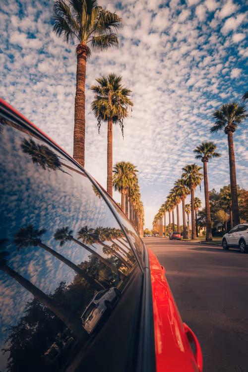 Item #91533776349707107334996359426163394312914568393480287964012023525095319273473 Media