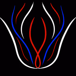 Internal Flames