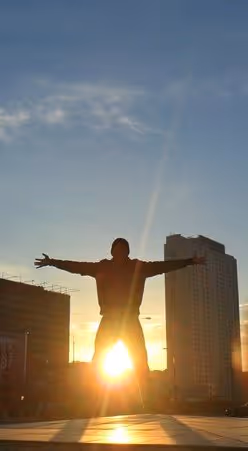 TreeDi Collection - old