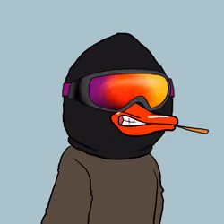 Thief duck