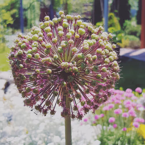 Item #16618738114346914127219060499717801535161246505766705550572350516124482273281 Media