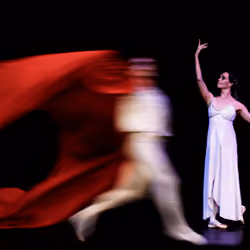 the ballet #5