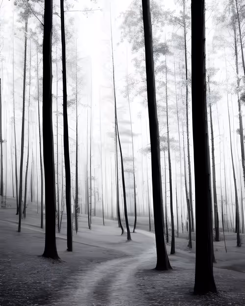 Item #96661707284894299444635219906598425654694917167299737376541026840689676124170 Media