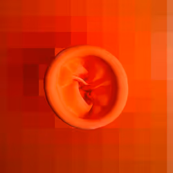 112443806312787433902540167291229144376569237612293574157816900152205475053569