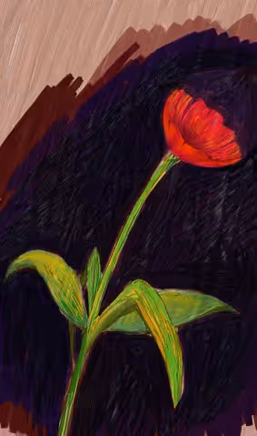 Item #47136027336140958589555740153260049377004429355589558728837188349078420848641 Media