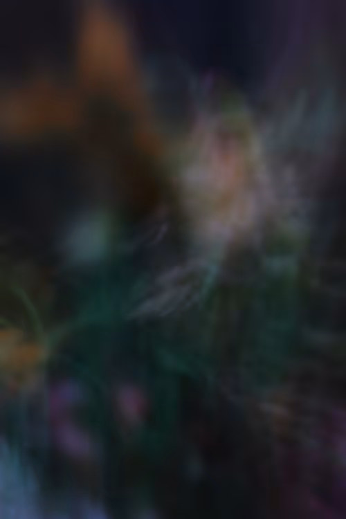 Item #72472512111903635261581493148510241947925598408403311949772894596913264852993 Media