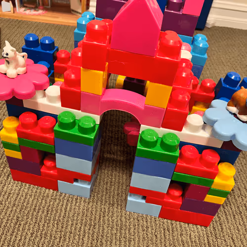 raspberry_legs Collection