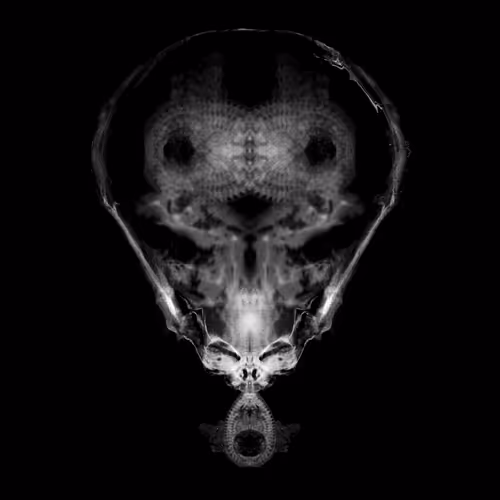 Item #85859191866638808365331437874953228966785819470149775310971061680418645344257 Media