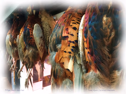 Item #25766228410116791685339336380012731519026805930459738932816938873182310367332 Media