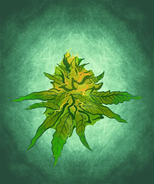 Item #88173920956366532206384104525204378846175092179682069740847406070536748400641 Media