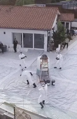 Untitled Collection #31243293