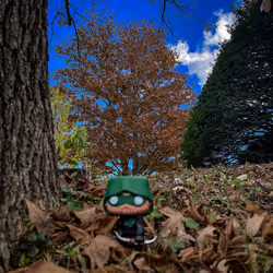 Green Arrow Fall 2