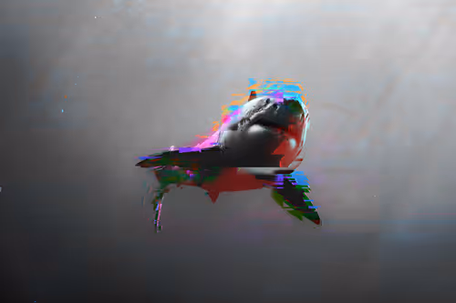 Item #21215157196218227237065896811320621545771383964443007402496171212172045582337 Media